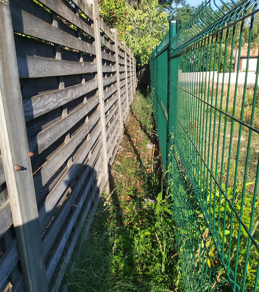 Arbre Jardin Environnement Paysagiste A Libourne Arbre Jardin Environnement Paysagiste A Libourne WhatsApp Image 2025 07 07 A 19.09.31 B9f943e8 1 Scaled 1