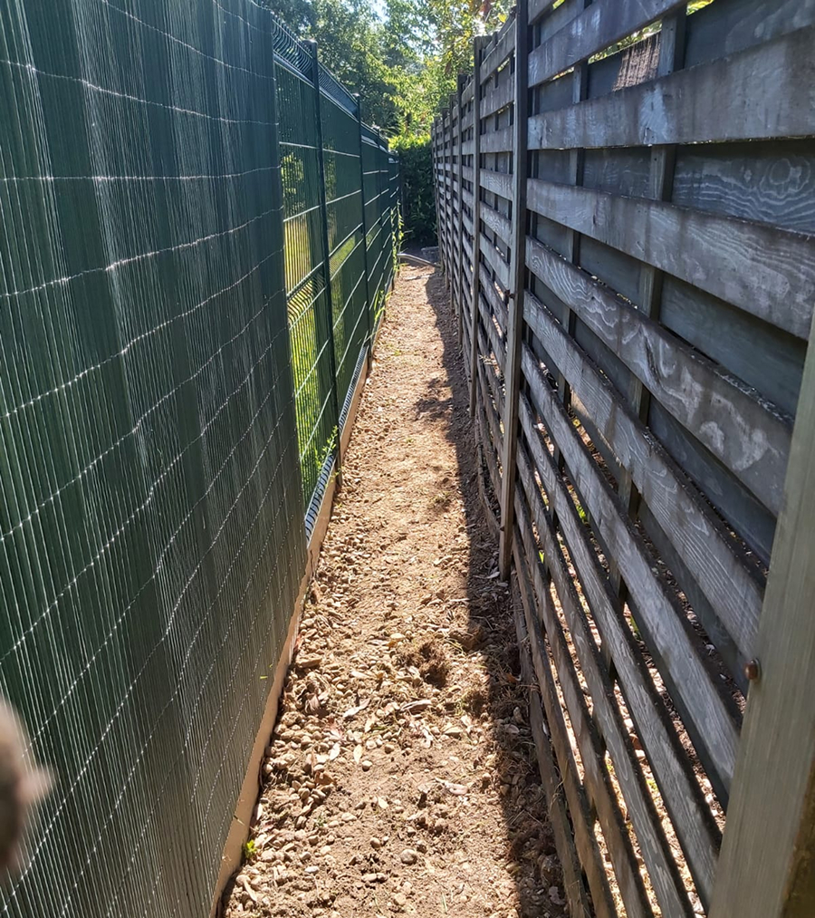 Arbre Jardin Environnement Paysagiste A Libourne Arbre Jardin Environnement Paysagiste A Libourne WhatsApp Image 2025 07 07 A 19.09.31 B9f943e8 1 Scaled 3
