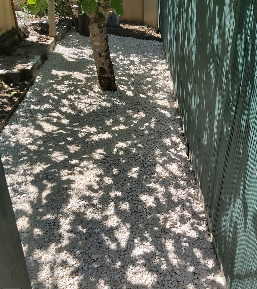 Arbre Jardin Environnement Paysagiste A Libourne Arbre Jardin Environnement Paysagiste A Libourne WhatsApp Image 2025 07 07 A 19.09.31 B9f943e8 1 Scaled 6