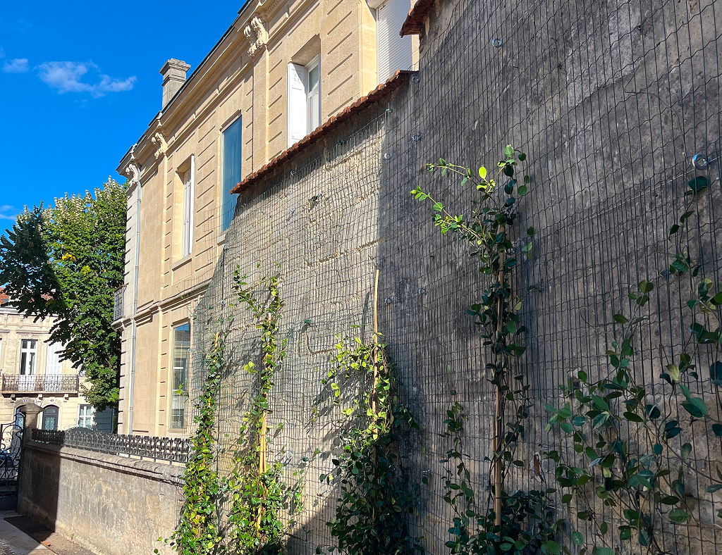 Arbre Jardin Environnement Paysagiste A Libourne Arbre Jardin Environnement Paysagiste A Libourne Mea 1