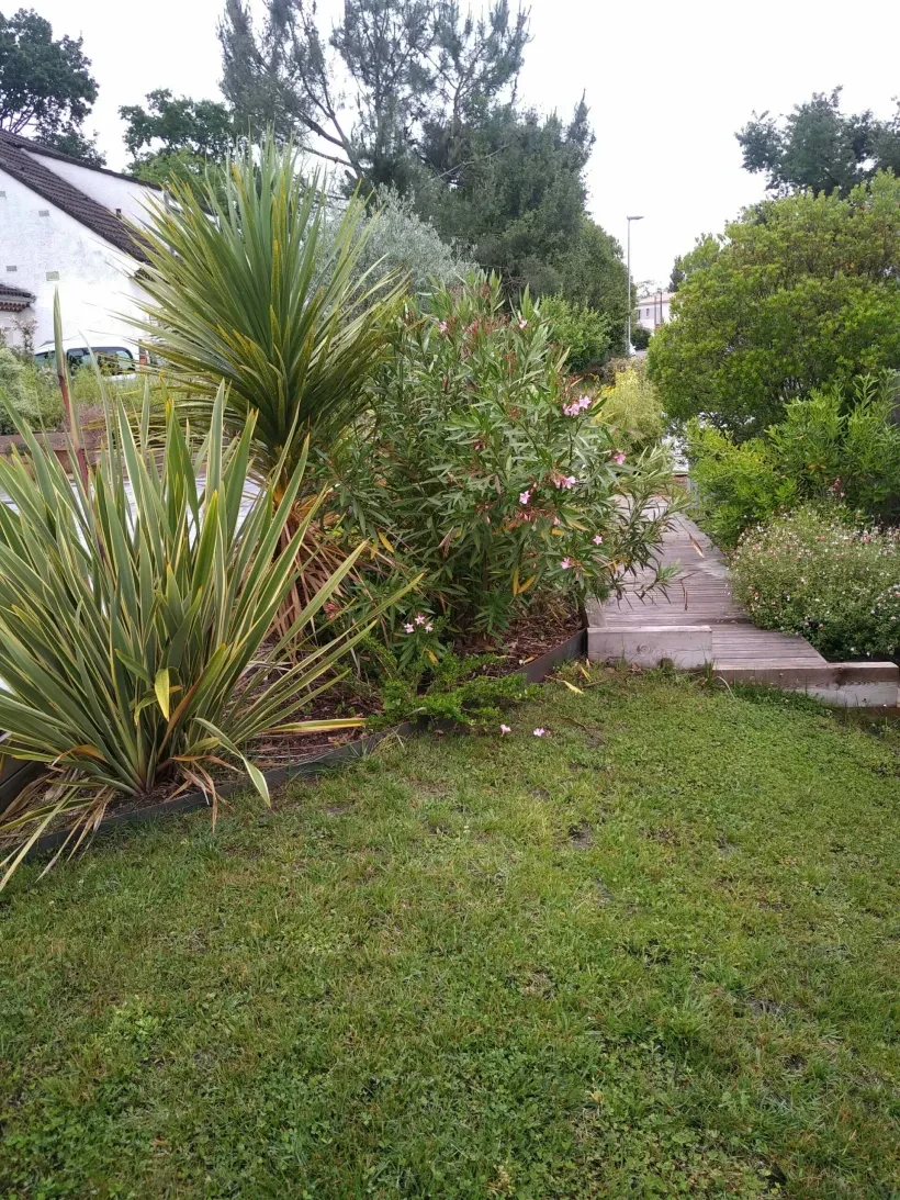 Arbre Jardin Environnement Paysagiste A Libourne Conception De Jardins