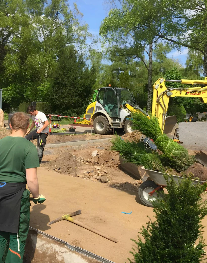 Arbre Jardin Environnement Paysagiste A Libourne Entretien Des Espaces Verts
