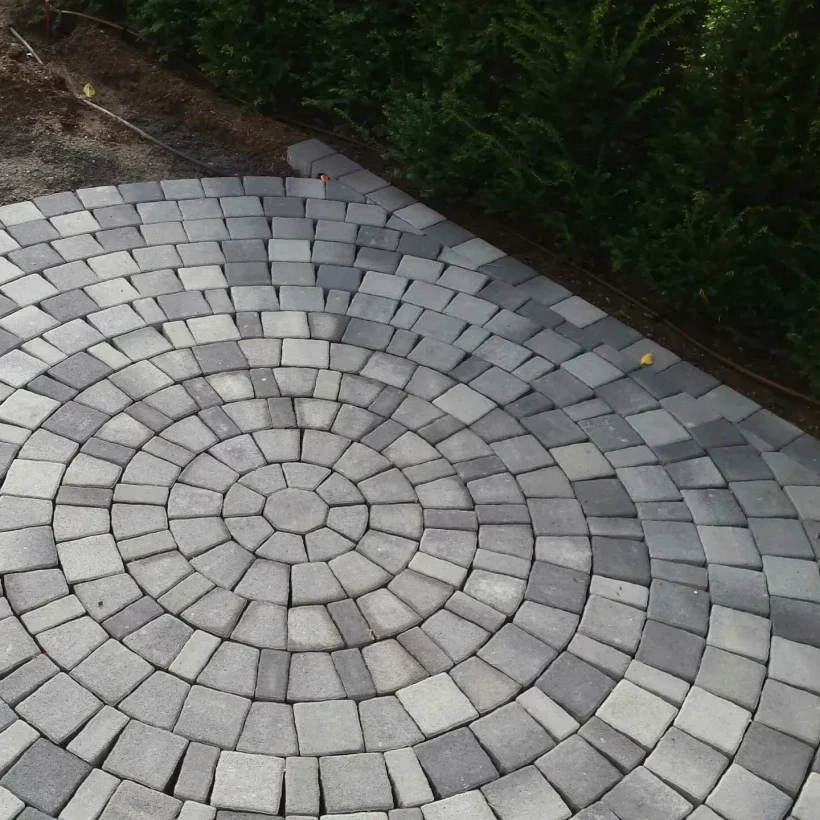 Arbre Jardin Environnement Paysagiste A Libourne Galerie 1