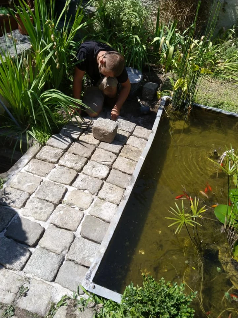 Arbre Jardin Environnement Paysagiste A Libourne Personnalisation Infinies